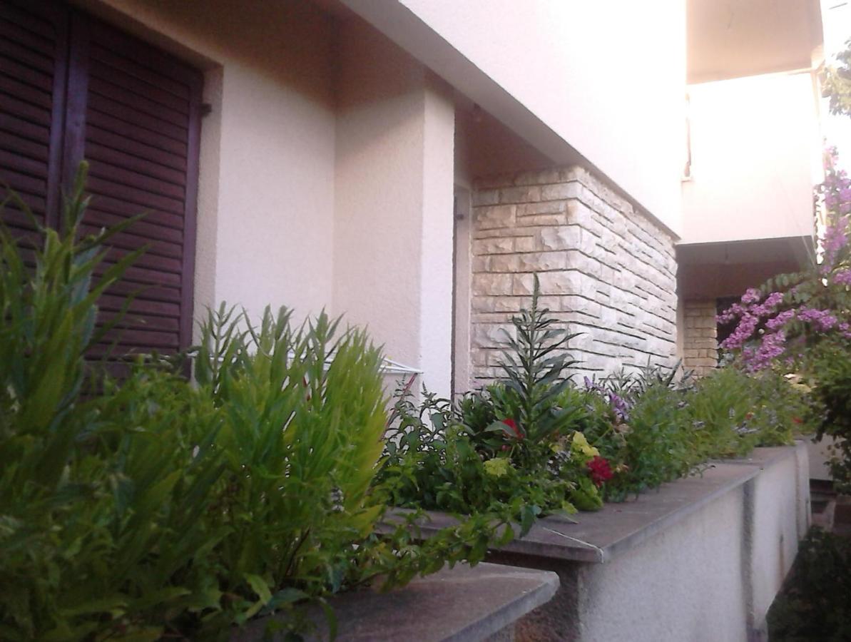 Apartments With A Parking Space Zadar - Diklo, Zadar - 13327 Ngoại thất bức ảnh
